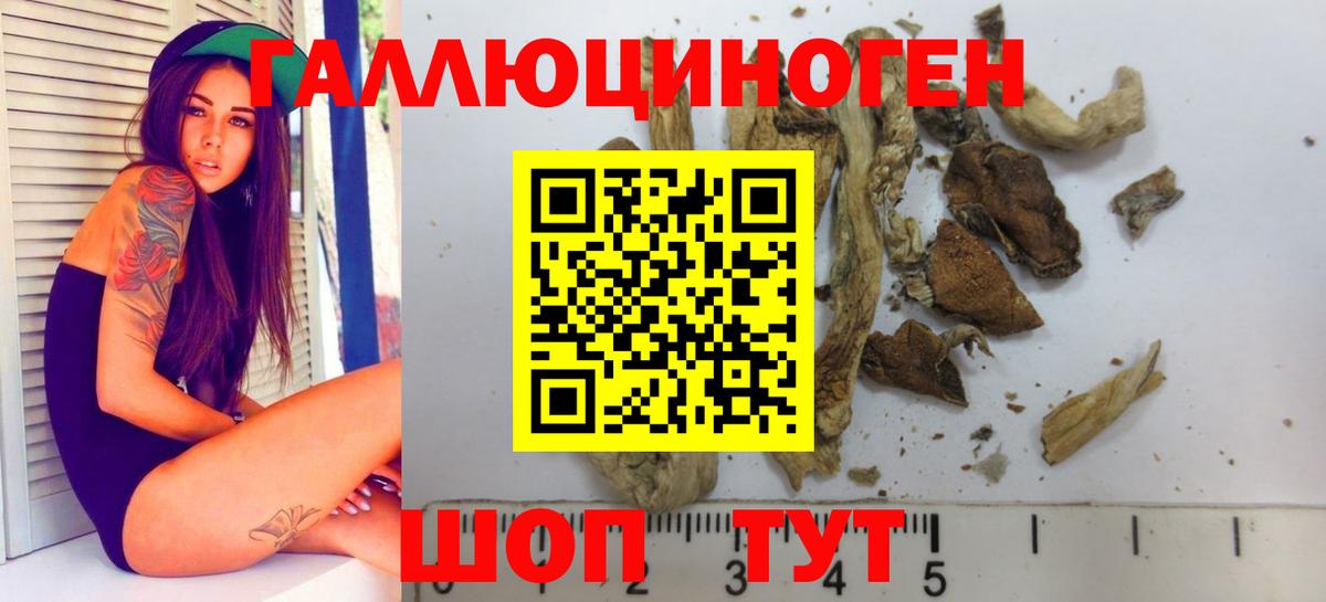 Галлюциногенные грибы мицелий  Вход с VPN  Галлюциногенные грибы Cubensis  Скопин 