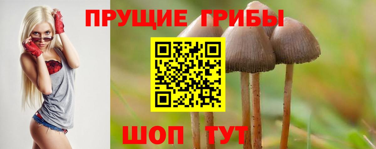 Галлюциногенные грибы GOLDEN TEACHER Скопин